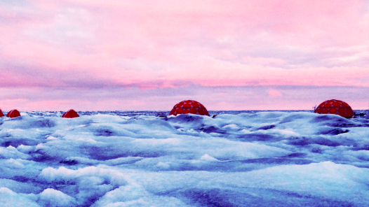 Forschungscamp in Süd-Grönland. Im Vordergrund: dunkles Eis mit Eisalgen. Jenine McCutcheon