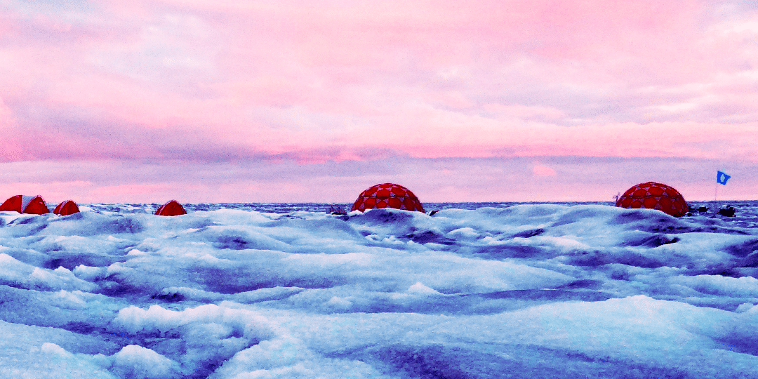 Forschungscamp in Süd-Grönland. Im Vordergrund: dunkles Eis mit Eisalgen. Jenine McCutcheon