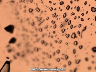 Gaseinschlüsse, die CO2 und CH4 (Methan) enthalten, wurden während des Kristallwachstums in Wirtsmineral (hier Quarz) eingeschlossen