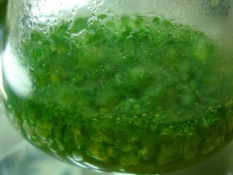 Joydeep - CC BY-SA 3.0, https://commons.wikimedia.org/w/index.php?curid=16791126