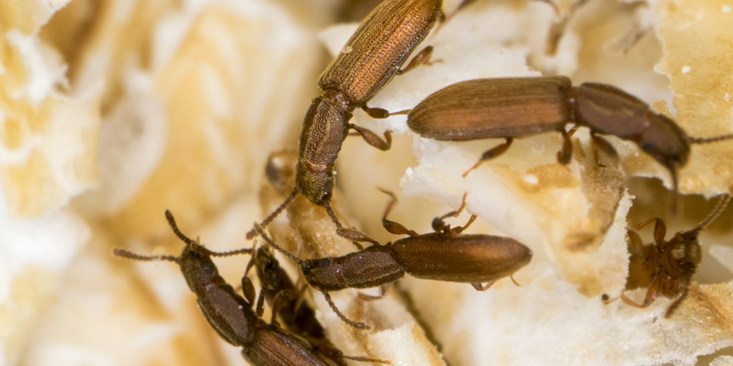 Julian Kiefer, Johannes Gutenberg-Universität Mainz